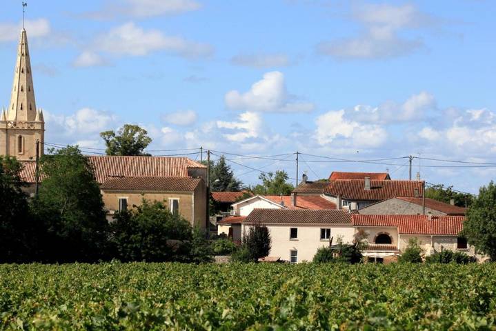 Chambre d’hôte pour 14 personnes, avec jardin et terrasse à Saint-Seurin-de-Cadourne - 4