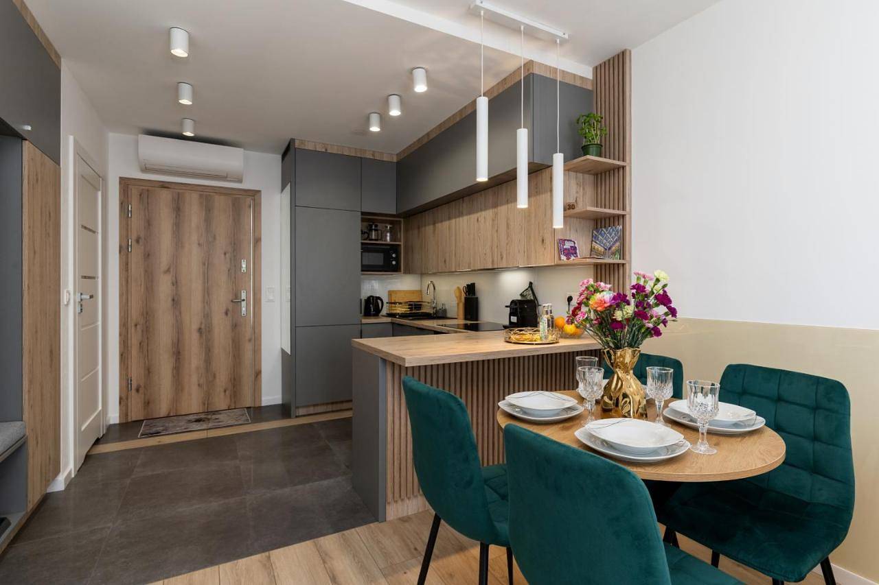 Cały apartament, Apartament Sun&City in Bielsko-Biała, Karpaty (Polska)