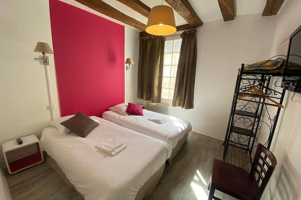 Group accommodation in the center of Azay le Rideau in Azay-le-Rideau, Loire Valley