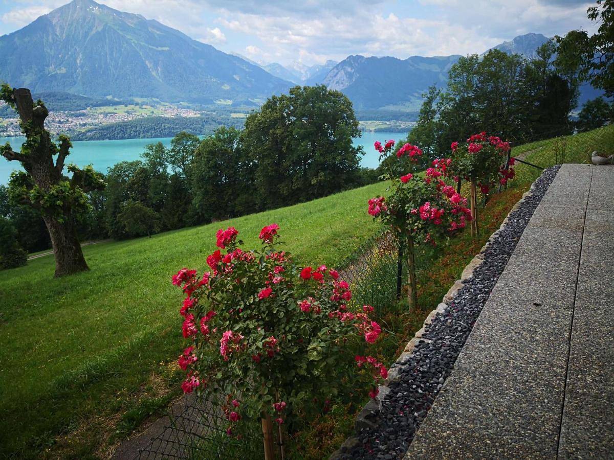 Two-Bedroom House in Sigriswil, Thunersee