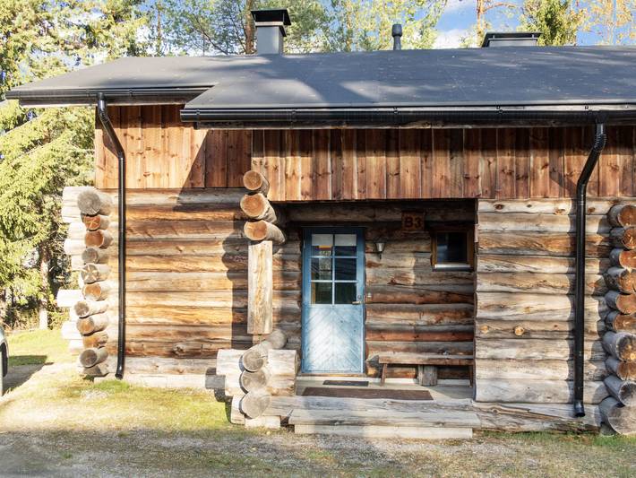 Vuokatinportti b3, lemminkäinen in Vuokatti, Nuasjärvi