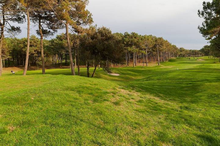 Chambre d’hôte pour 10 personnes, avec jardin à Les Mathes
