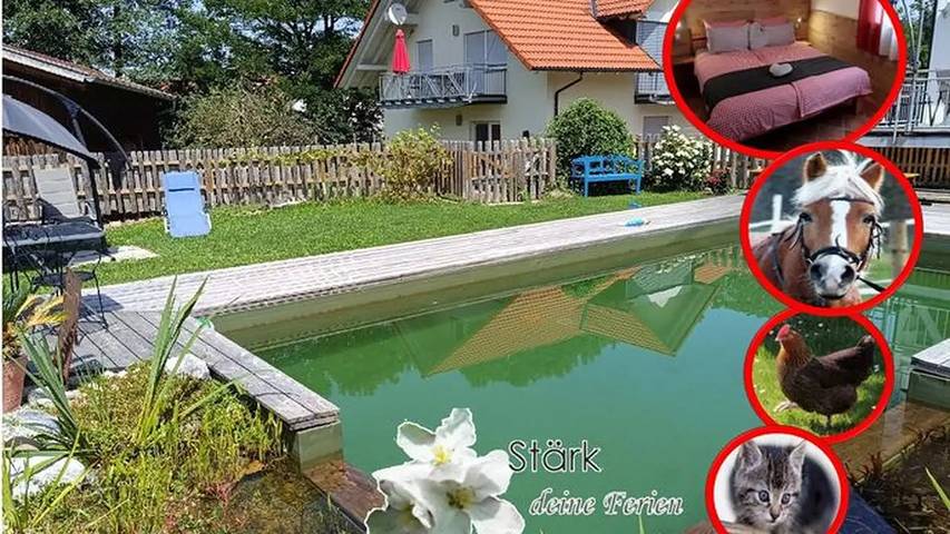 Appartement de vacances pour 3 personnes, avec jardin et sauna ainsi que piscine et terrasse - 1