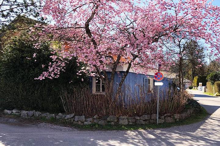 Ferienwohnung für 5 Personen, mit Terrasse und Garten in Seeshaupt