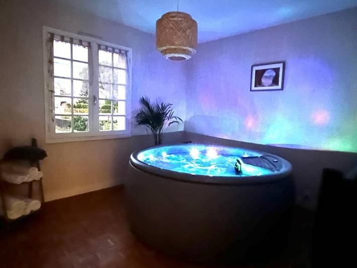 Gîte pour 6 personnes, avec jacuzzi et jardin à Cozes - 4