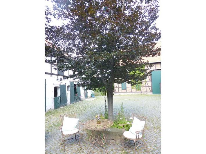 Ferienhaus für 4 Personen, mit Terrasse in Bad Harzburg - 2