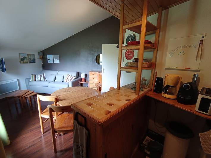 Ganze Wohnung, Schöne 2-Zi 5 Pers Ski-in/Ski-out Dachgeschoss Haustiere Erlaubt in Montgenèvre, Briançon und Umgebung