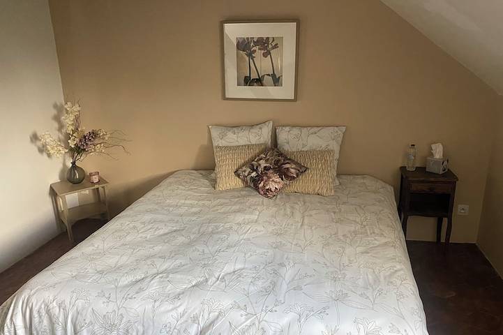 Château pour 25 personnes dans Mayenne - 3