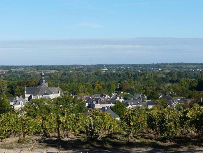 Chambre d’hôte pour 2 personnes, avec jardin ainsi que vue et terrasse à Rochefort-sur-Loire - 4