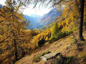 Glamping per 10 Persone in Grachen, Alpi Occidentali, Foto 4