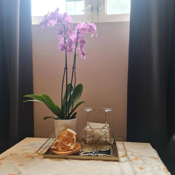 Ferienhaus für 2 Personen, mit Ausblick in Anne Frank Haus - 2
