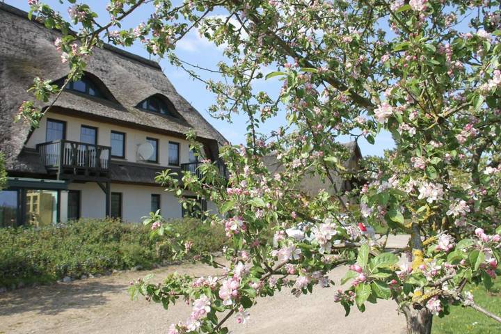 Hotel für 2 Personen, mit Ausblick und Sauna sowie Pool und Garten, mit Haustier in Dabel - 3