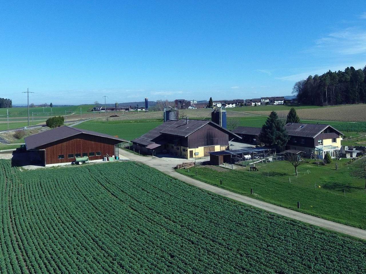 Cały apartament, Haslers Hof in Zurych (kanton)