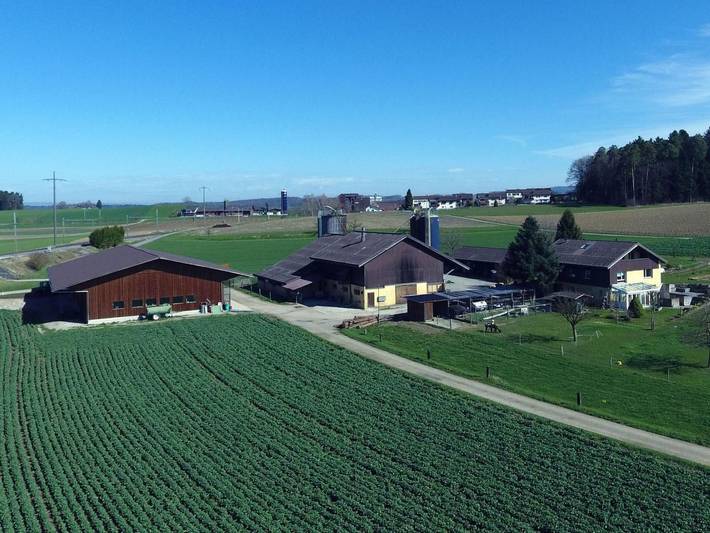 Bauernhof für 5 Personen, mit Garten in der Schweiz - 4