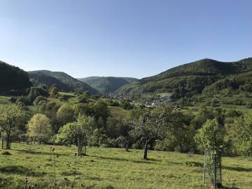 Ferienwohnung für 2 Personen in Eußerthal, Pfälzer Weinland, Bild 4