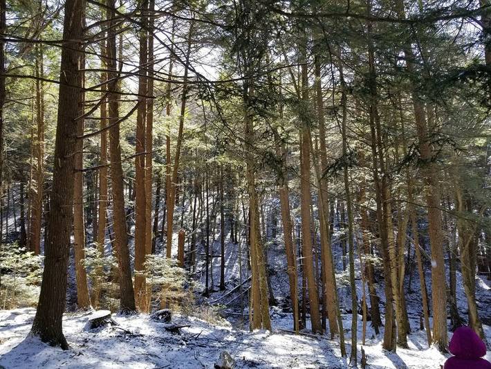 Vacation rental for 8 people, with balcony, with pets in Pennsylvania