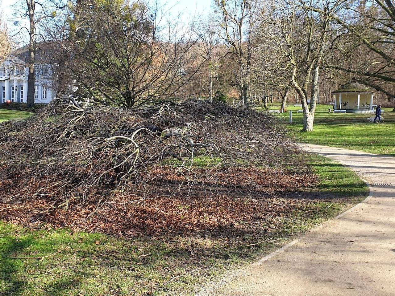 Ganze Ferienwohnung, Ferienwohnung Hellmann - Ferienwohnung 1 in Bad Nenndorf, Landkreis Schaumburg