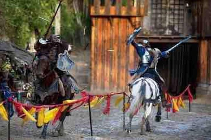 Gîte pour 8 personnes à Provins - 3