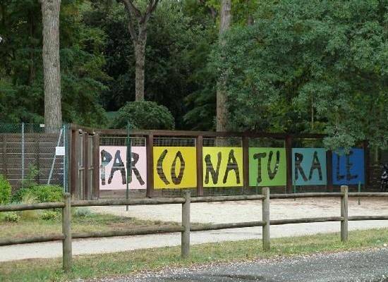 Chambre d’hôte pour 2 personnes, avec terrasse et vue à Cervia - 4