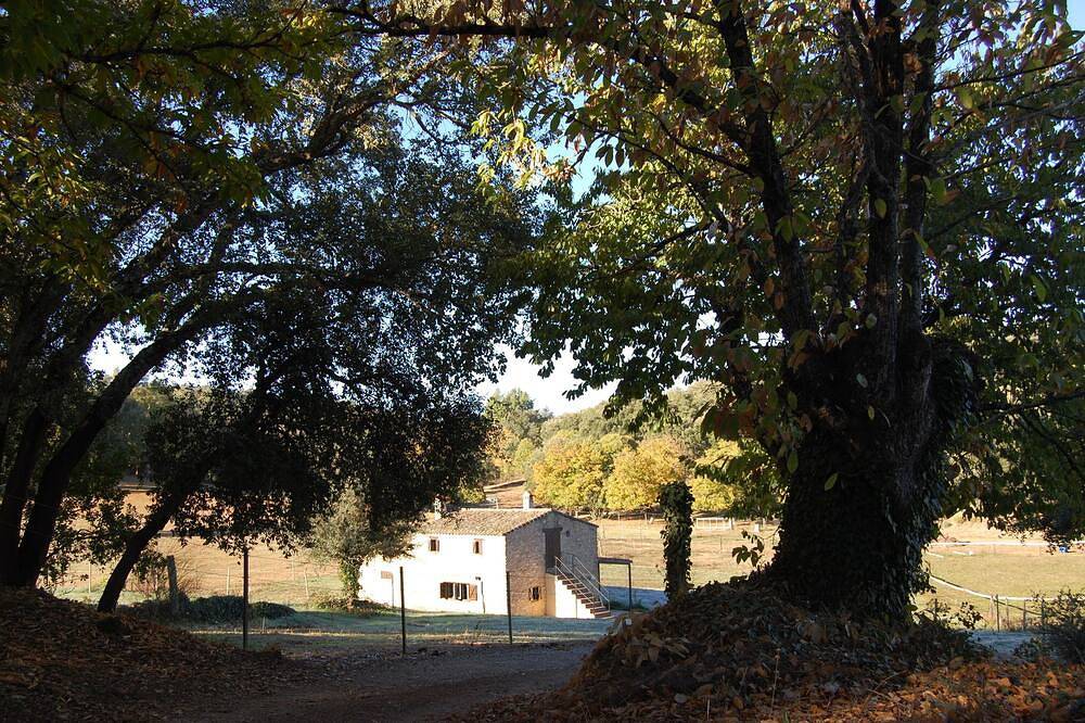 \"El Zurrador\" farm, agricultural, livestock and forestry farm with Rural Accommodation. in Fuenteheridos, Sierra de Aracena y Picos de Aroche