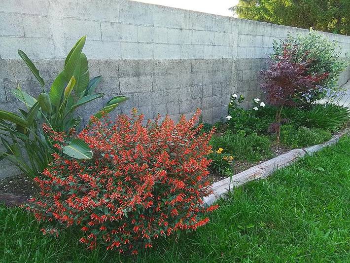 Casa rural para 2 personas, con jardín y vistas en Provincia de La Coruña - 3