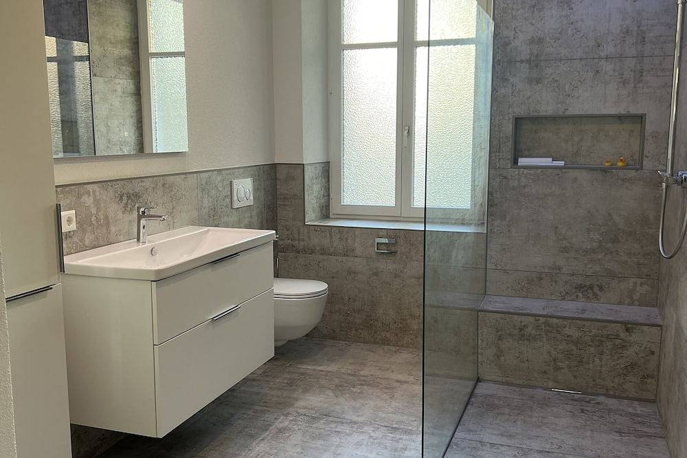 Ganze Wohnung, Citydreams mit Altbauflair die Premiumunterkunft in Lörrach bei Basel-Stadt in Lörrach, Südschwarzwald
