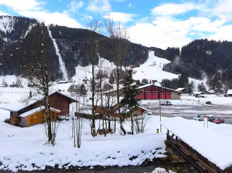 Apartamento entero, 3 Pièces 4 Personnes in Les Diablerets, Ormont-Dessus (Les Diablerets)