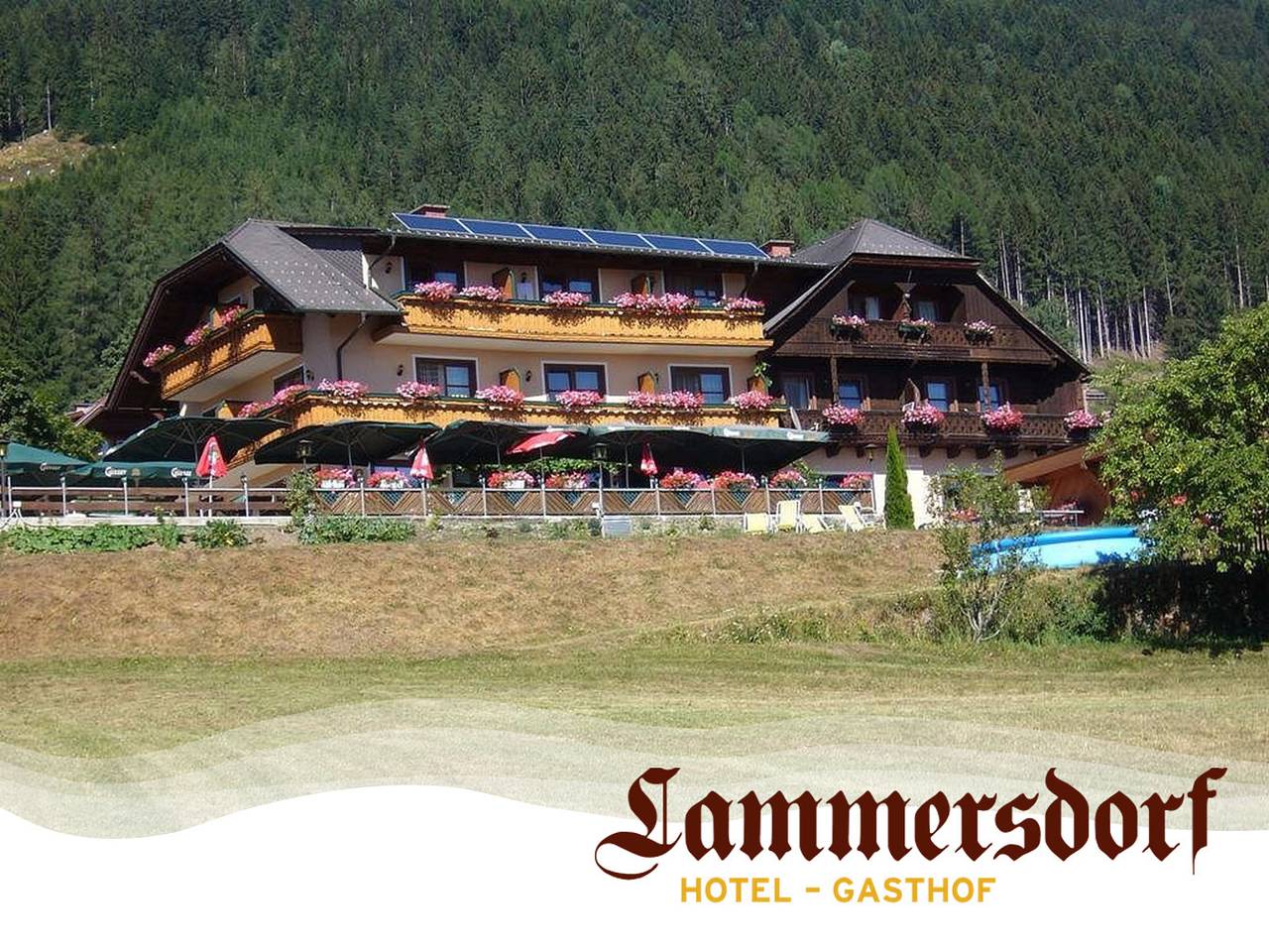 Entire holiday apartment, Einzelzimmer 8, Wc, Dusche in Millstatt, Oberkärnten