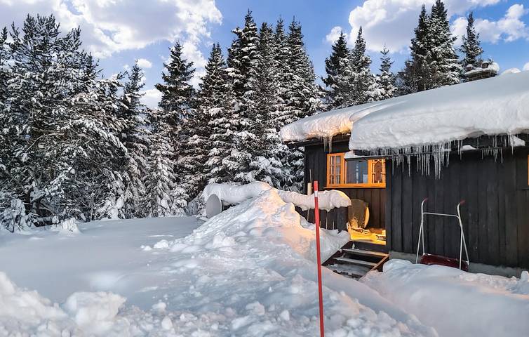 Ferienhaus für 7 Personen mit Terrasse in Nesbyen