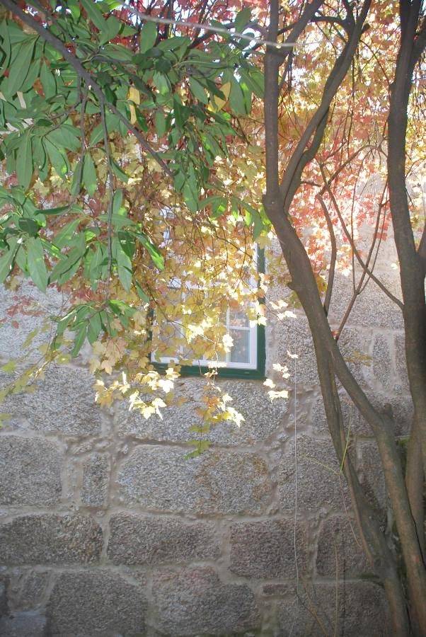 Refúgio de Calheiros in Covilhã e Canhoso, Serra da Estrela