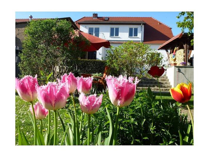 Ferienwohnung mit 1 Schlafzimmer in Neustrelitz, Mecklenburg-Strelitz