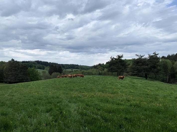 Gîte pour 6 personnes dans Saint-Exupéry-les-Roches - 4