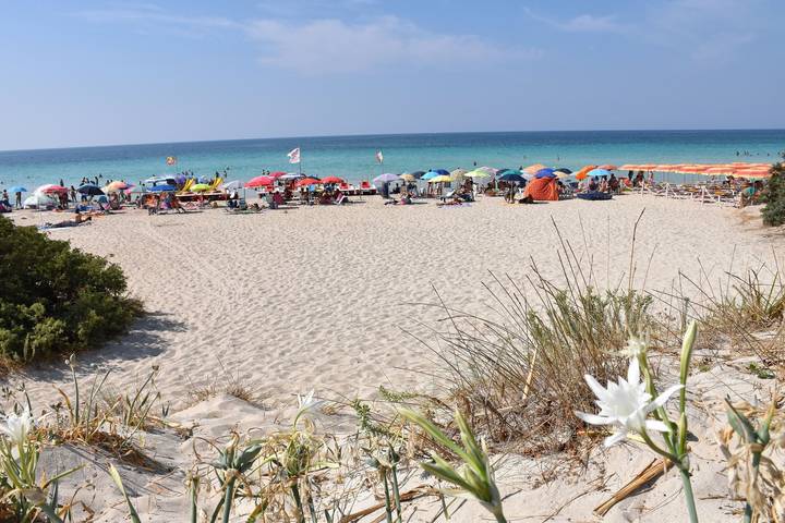 Villa pour 9 personnes, avec jardin à Porto Cesareo - 3