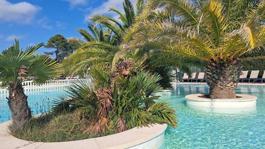 Camping pour 5 personnes, avec piscine et jardin à La Teste-de-Buch - 2