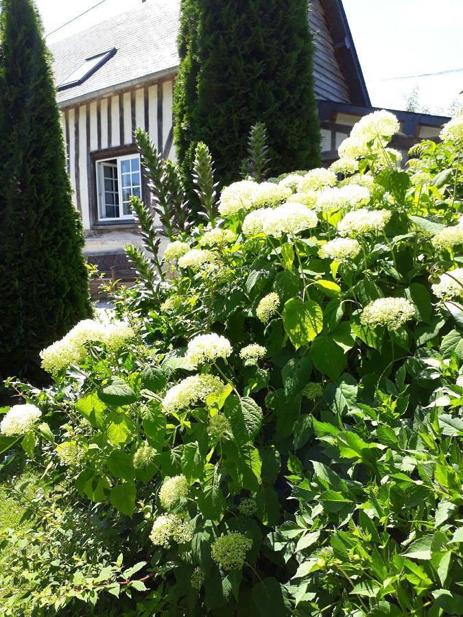 Two-Bedroom House in Livarot-Pays-d'Auge, Lisieux und Umgebung