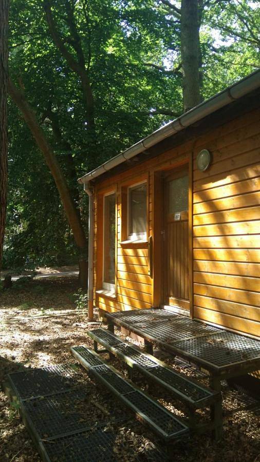 Ferienpark für 4 Personen, mit Terrasse in Dranske - 3