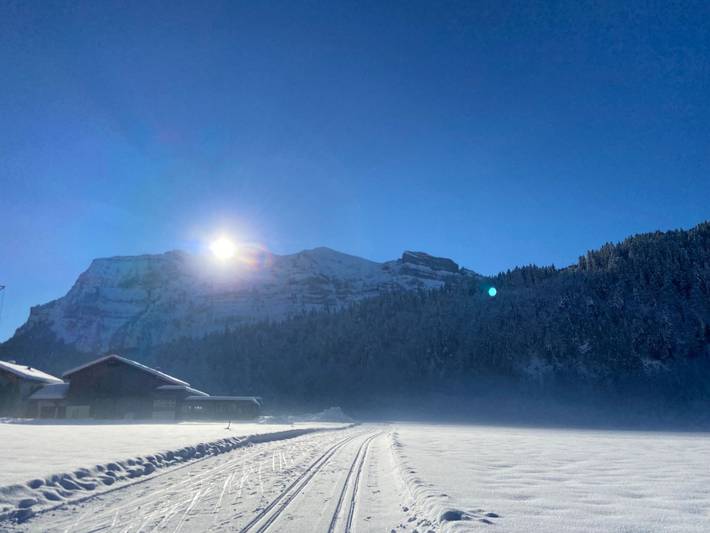 Ferienwohnung für 4 Personen, mit Sauna und Ausblick sowie Garten und Pool in Bizau - 2