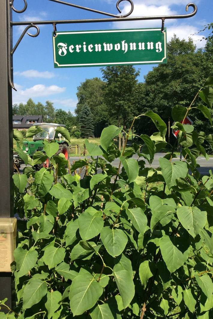 Ferienwohnung für 6 Personen, mit Terrasse in Tecklenburg - 2