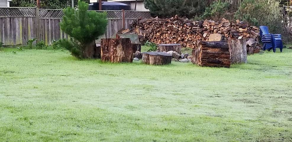 Gîte pour 3 personnes, avec terrasse dans Californie - 3