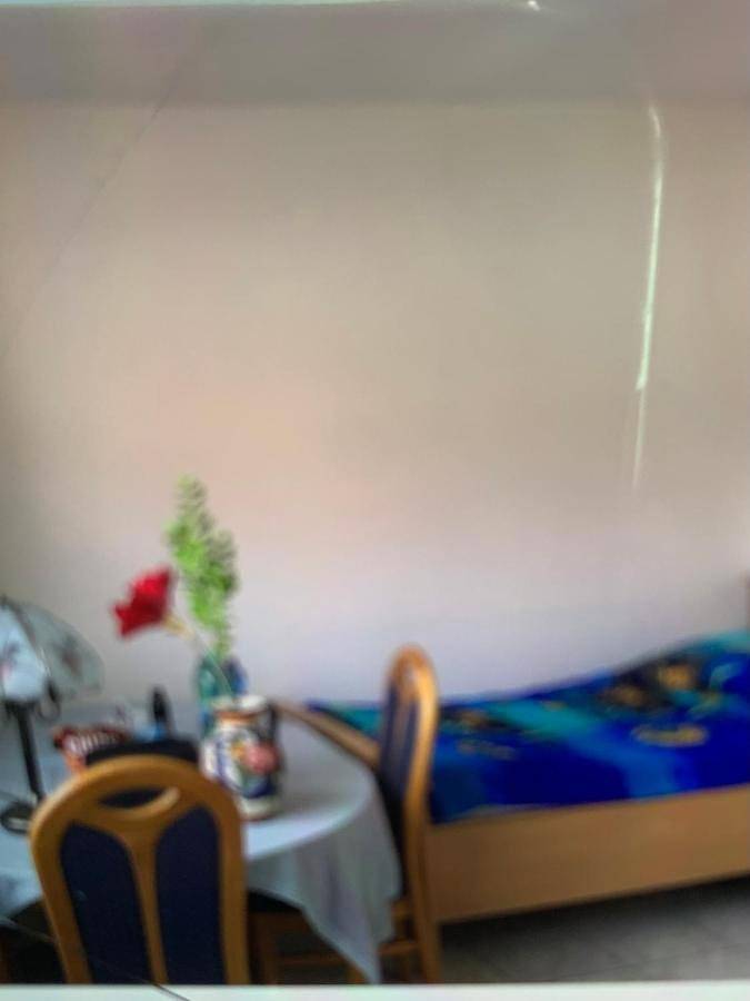 Gîte pour 4 personnes, animaux acceptés à Brakel - 4