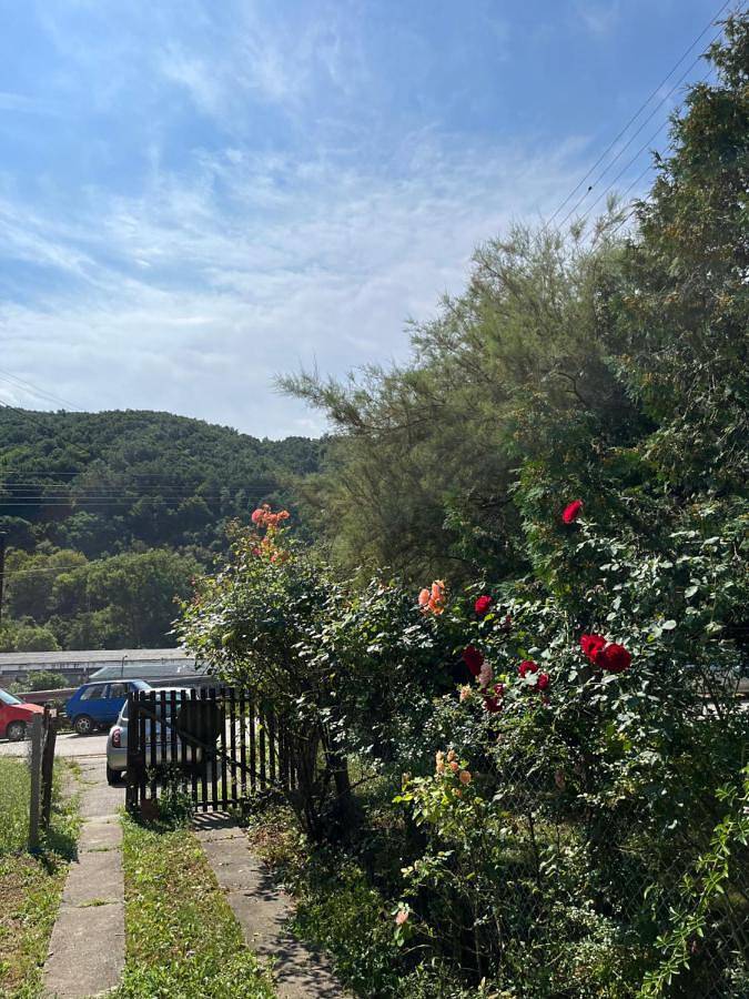 Gîte pour 5 personnes, avec jardin et vue, animaux acceptés dans Kursumlija - 2