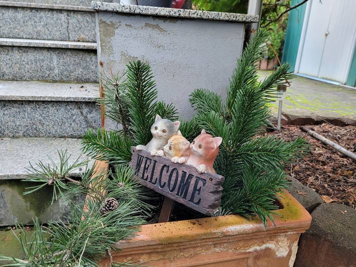 Ferienwohnung für 2 Personen in Cottbus - 4