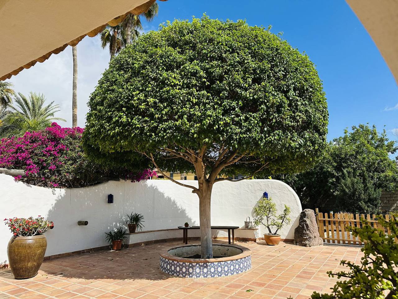 Finca Ingala in Playa del Duque, Adeje