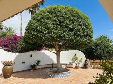 Holiday Rental for 5 People in Playa del Duque, Adeje, Photo 4
