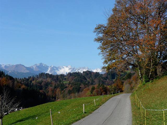 Ganze Ferienwohnung, Ferienhaus Terlischa - 4.5-Zimmerwohnung für 8 Personen, 110qm in Seewis im Prättigau, Rätikon Gebirgsgruppe