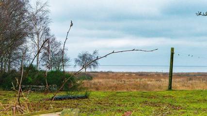 Vakantiehuis voor 7 Personen in Djursland, East Jutland, Afbeelding 4