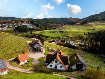 Ferienwohnung für 4 Personen in Oberkirch, Mittlerer Schwarzwald, Bild 3