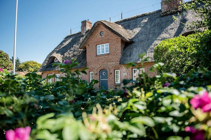 Ferienhaus für 5 Personen, mit Garten und Sauna - 1