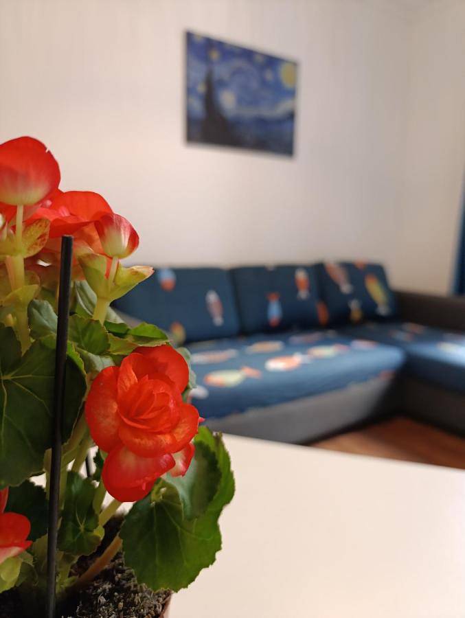 Apartamento de vacaciones para 5 personas, con jardín - 1