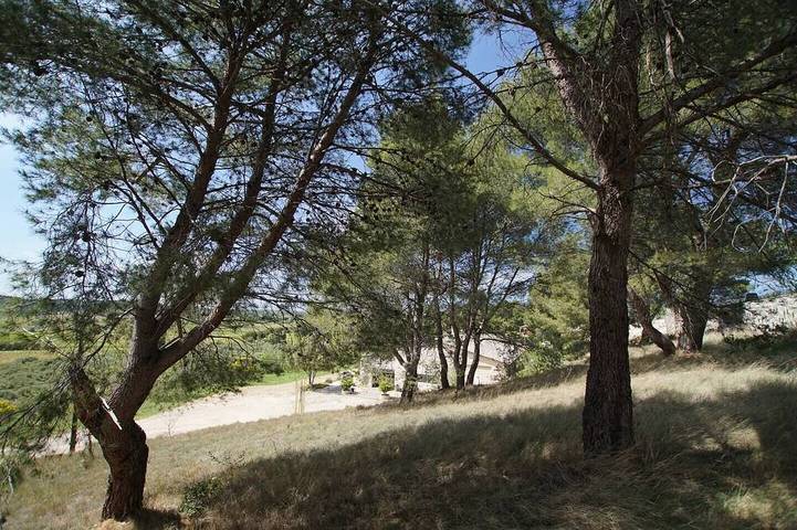 Location de vacances pour 12 personnes à Azille